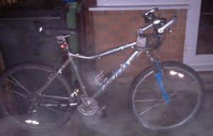 I love ths bike, butshe's 10 this year and knackered.