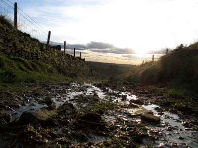 Down Carr Lane