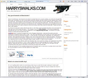 Dave & Harry's New Doggyblog