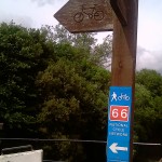 IMAG0334