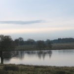 Tatton Park Lake Tatton Park Lake