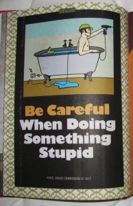 Be Careful - So Say Mitchell & Webb. This Mitchell & Webb Book