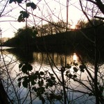 Knypersley Pool Knypersley Pool