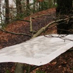 Ice Rink Land Art Ice Rink Land Art
