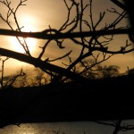 Knypersley Sunset Knypersley Sunset