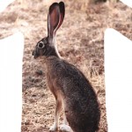 Hare TShirt: Chris Byrne for hitting 100 miles first !